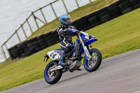 PJ-Motorsport-2019;anglesey-no-limits-trackday;anglesey-photographs;anglesey-trackday-photographs;enduro-digital-images;event-digital-images;eventdigitalimages;no-limits-trackdays;peter-wileman-photography;racing-digital-images;trac-mon;trackday-digital-images;trackday-photos;ty-croes